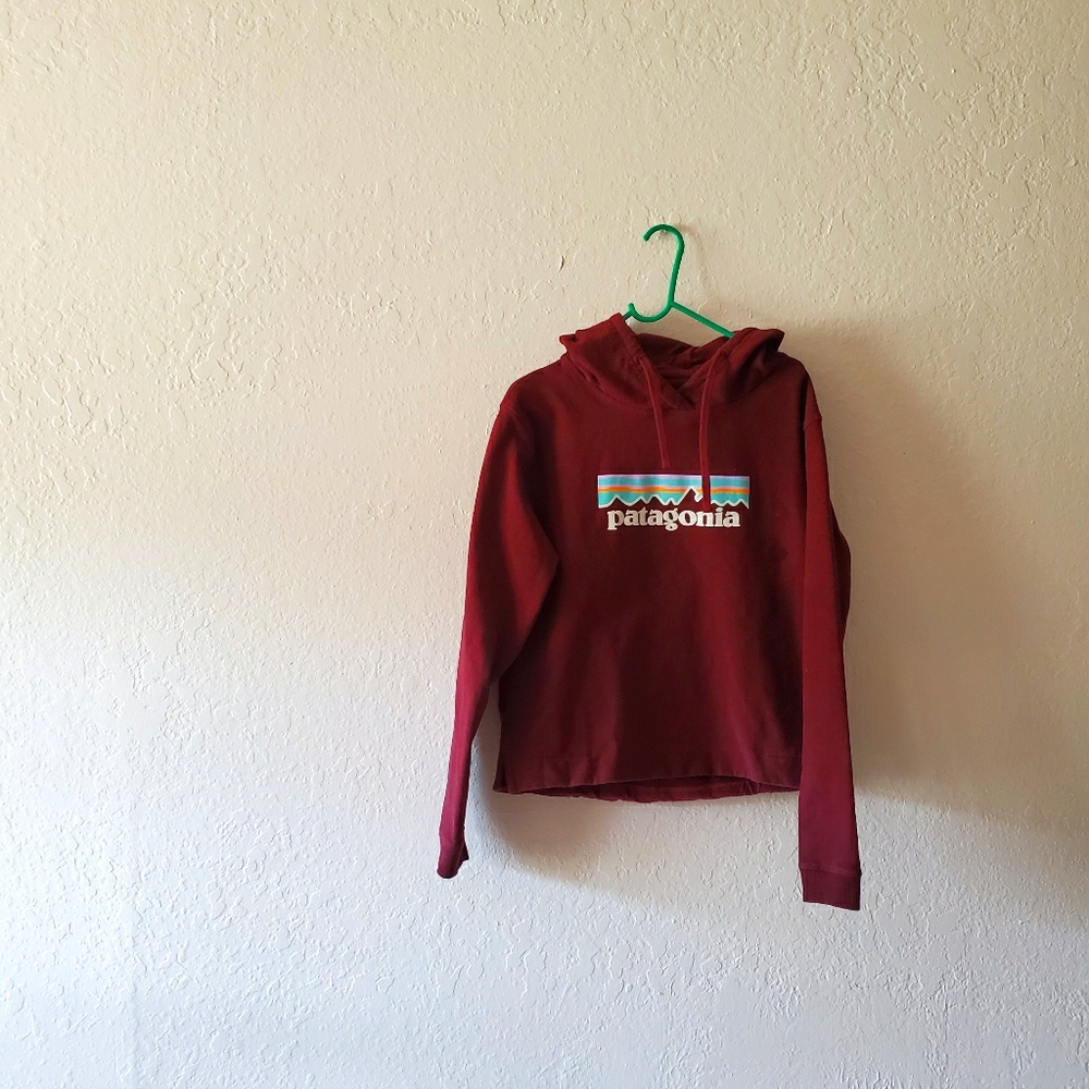 Patagonia Sweatshirt
